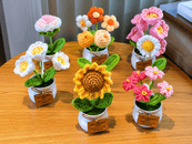 Flowers Pots